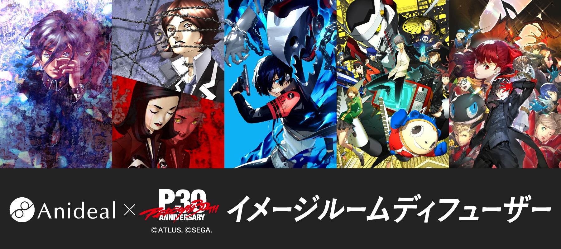 アニディール公式│ オンラインストア