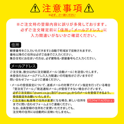 先生モデル オリジナルソーラーウォッチ